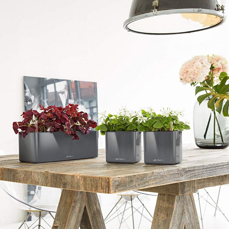 le_cube-glossy-triple_product_addi_02